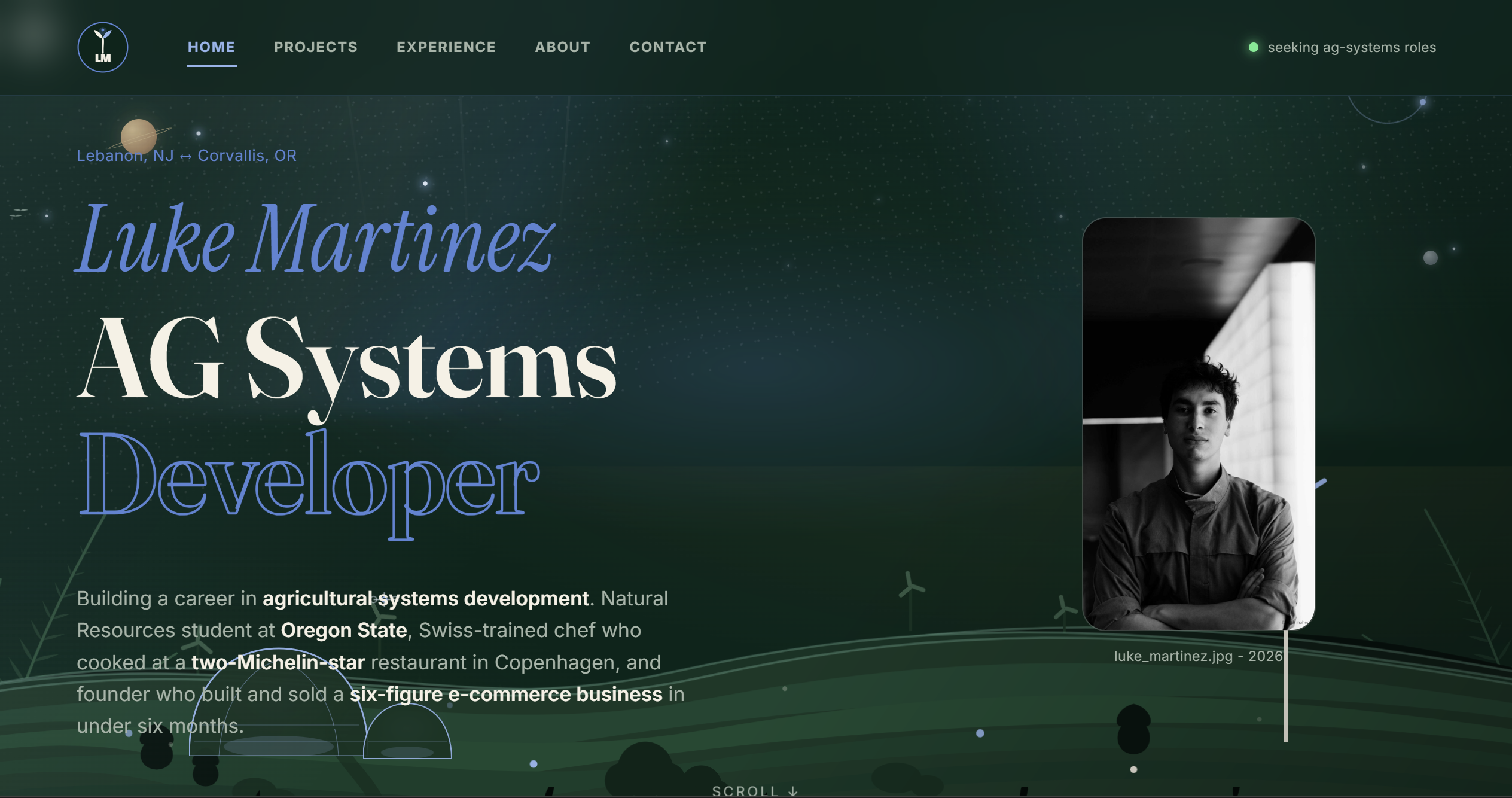 Luke Martinez Website cover